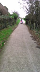 Steep Road Leading Down to the Cove