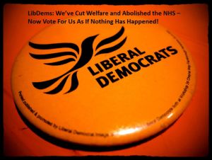 LibDem-Elec-01