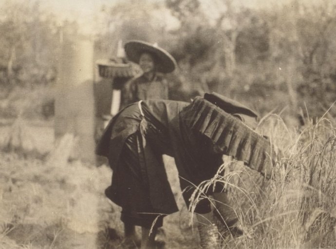 bd76c47ag7bb86b4b2b45&amp;690