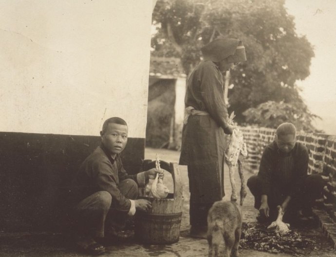 bd76c47agd533baa738b9&amp;690