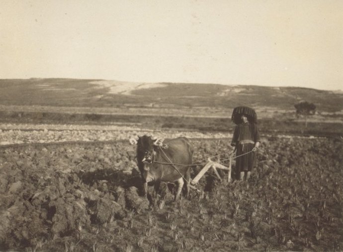 bd76c47agd53430bf8a2f&amp;690