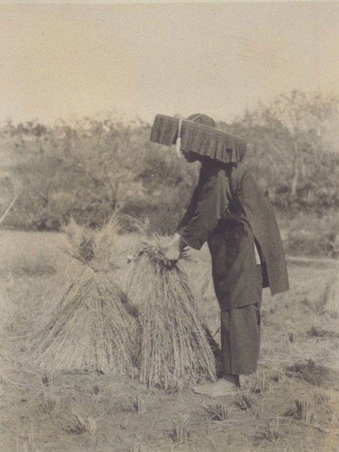 bd76c47agd53431897ebc&amp;690