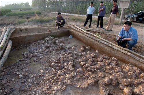 £ª[´óÇ§ÊÀ½ç]£¨3£©Ç§¹ÅÖ®ÃÕ¡°ÈËÍ·¶Õ¡±