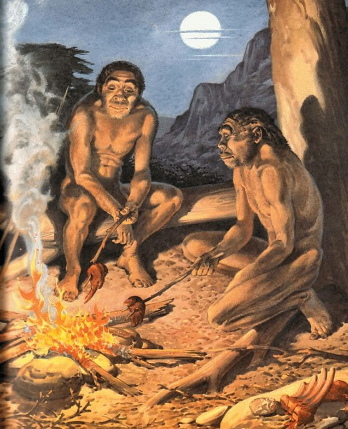 0000000000000000000000000000000000000000000000000000000000000000000