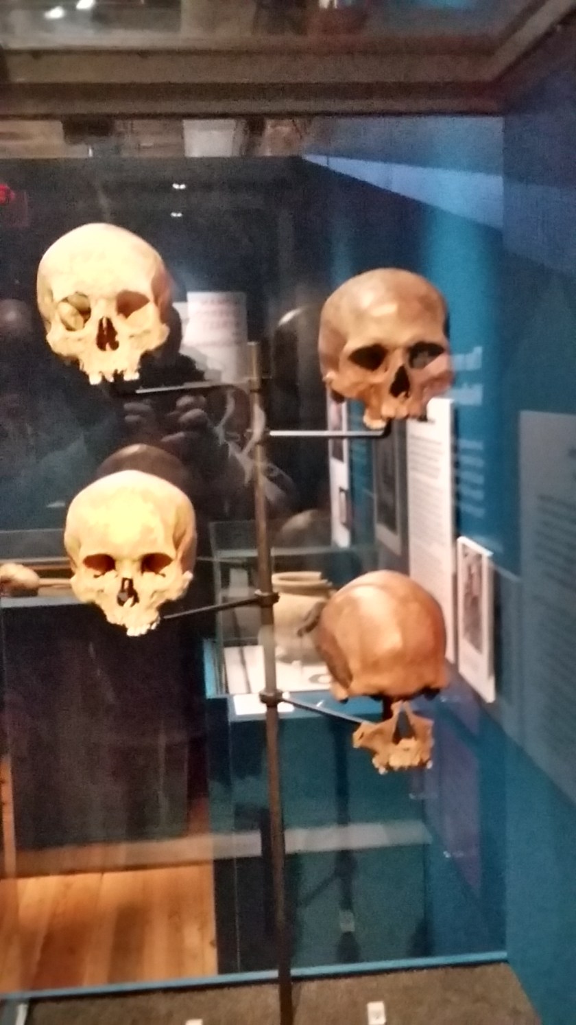 20170211_132105_richtonehdr