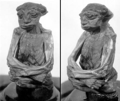 0000000000000000000000000000000000000000000000000000000000000000000