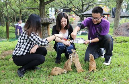 0000000000000000000000000000000000000000000000000000000000000000