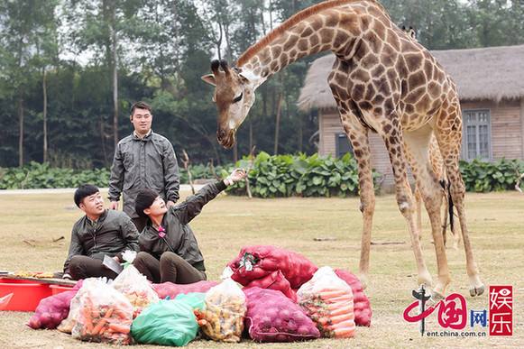 0000000000000000000000000000000000000000000000000000000000000000