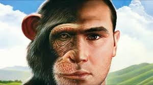 0000000000000000000000000000000000000000000000000000000000000000