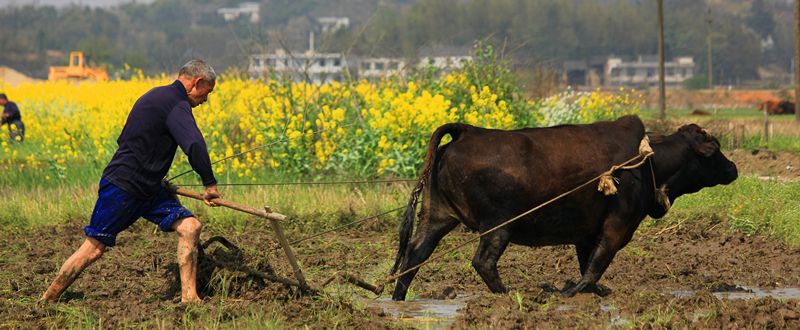 00000000000000000000000000000000000000000000000000000000000000000