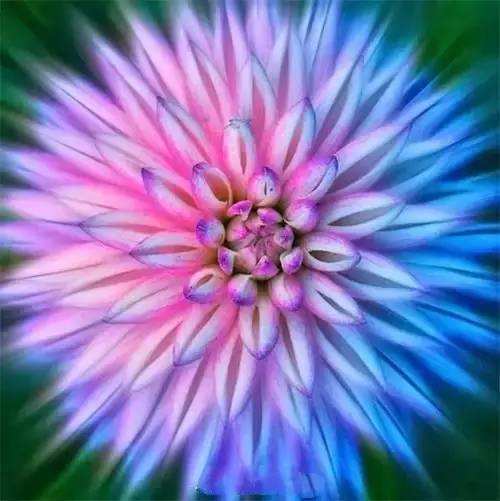 000000000000000000000000000000000000000000000000000000000000000000