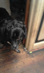 00000000000000000000000000000000000000000000000000000000000000