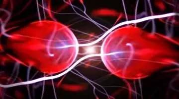 000000000000000000000000000000000000000000000000000000