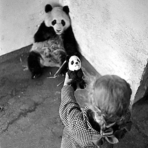 000000000000000000000000000000000000000000000000000000000000000