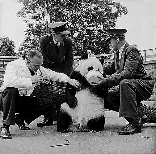 000000000000000000000000000000000000000000000000000000000000000