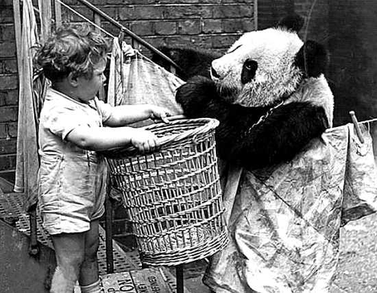 000000000000000000000000000000000000000000000000000000000000