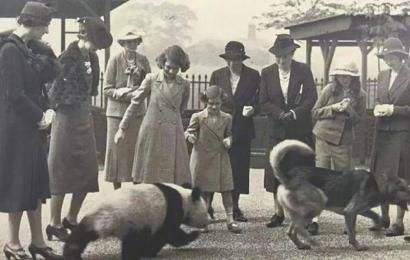 0000000000000000000000000000000000000000000000000000000