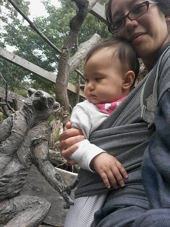 21764882_1998363920400635_8631428753252573817_n