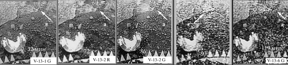 0000000000000000000000000000000000000000000000000000000000000