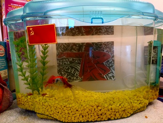 000000000000000000000000000000000000000000000000000000000000000000000000000000000