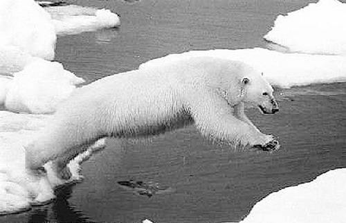 000000000000000000000000000000000000000000000000000000000000000000000000000000000000000000000000000000000000000000000000000000000000000000000000000000000000000000000000000000000000000000