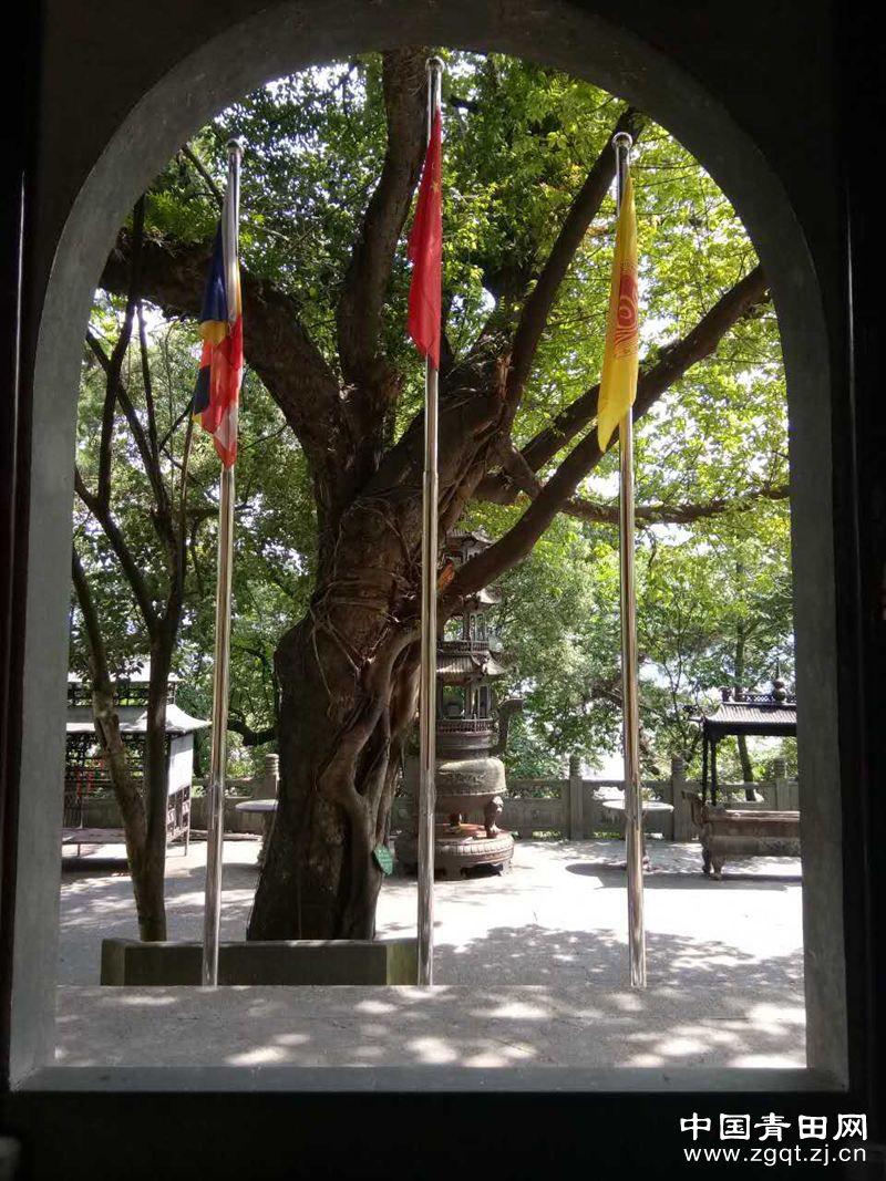 20180726113081318131