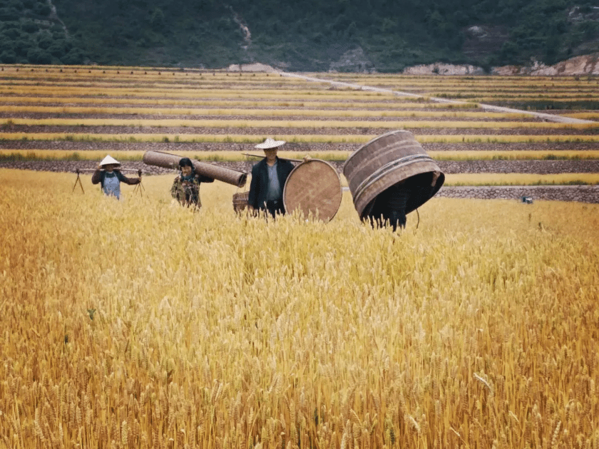 CF2-357d29a5-77d5-46bb-8648-d59c8a4edadd