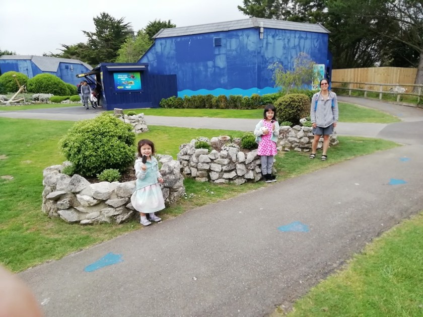 Rock2-61085868_1567587083374412_8596047356959391744_n