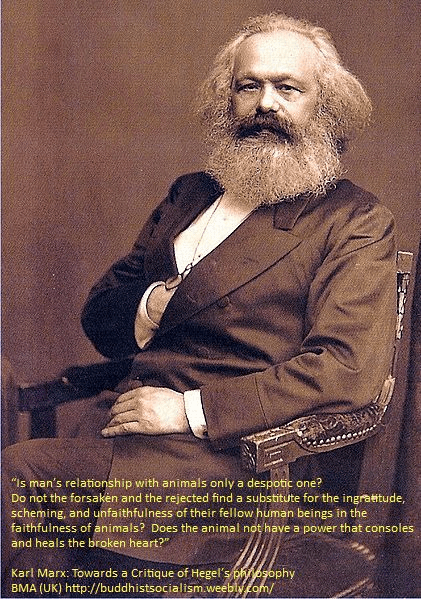 Marx On Animals