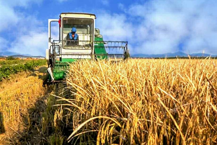 DPRK: The Spirit of Struggle for the Fruitful Unity of this Year’s ...