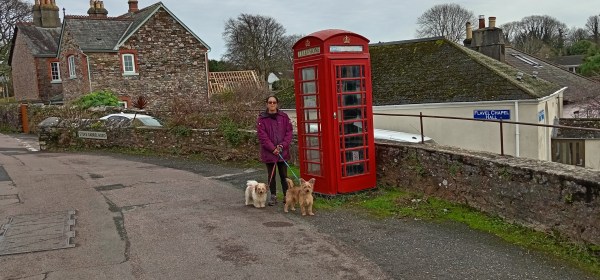 Old Telephone Box - Galmpton
