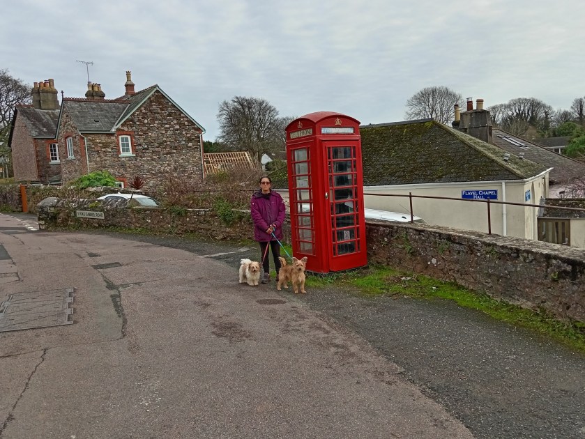 Old Telephone Box - Galmpton