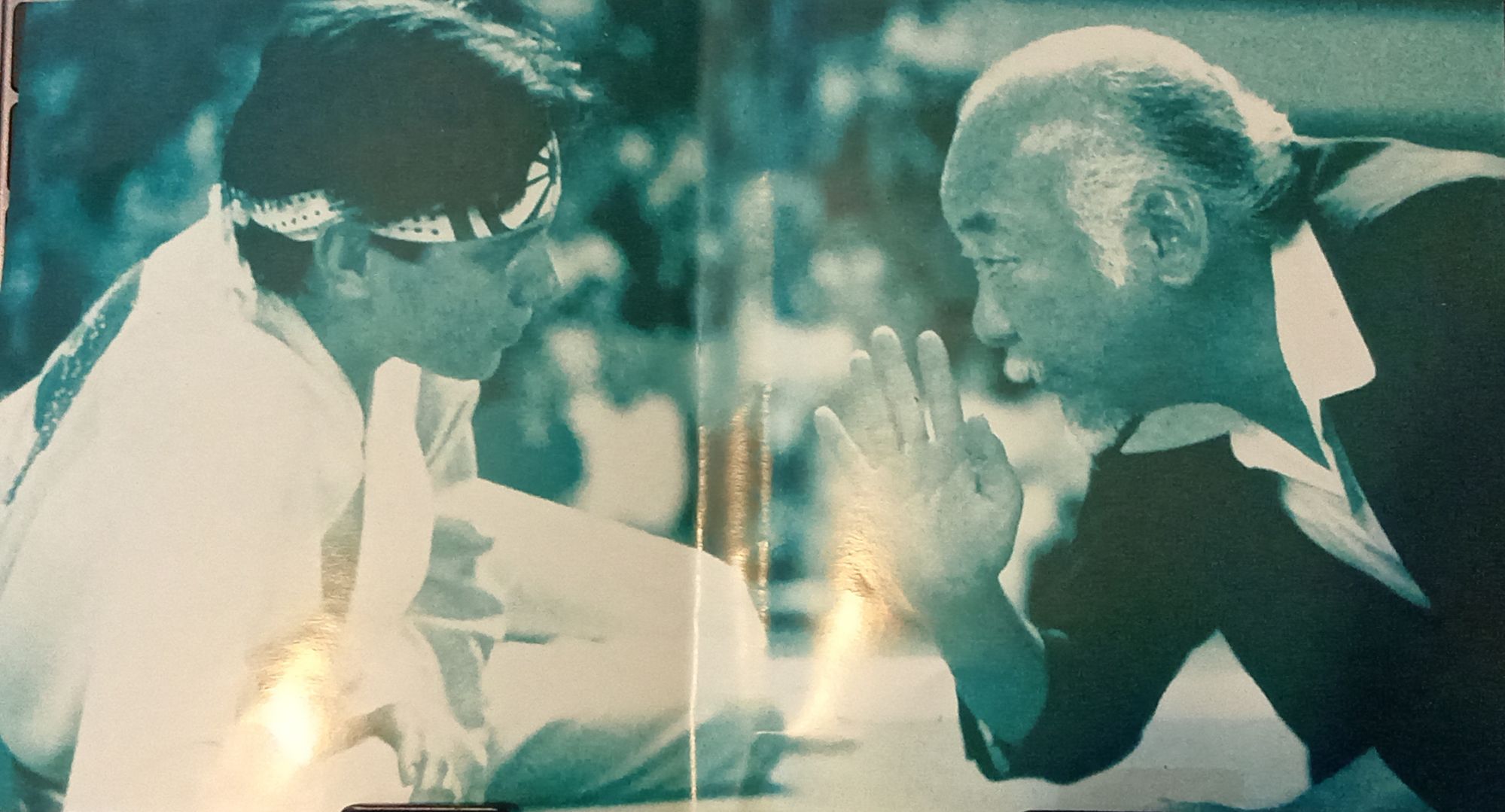 karate kid cover art