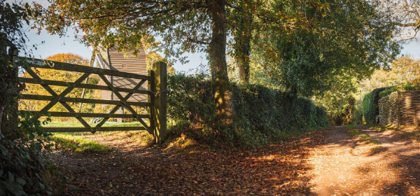 Tilting At Windmills!