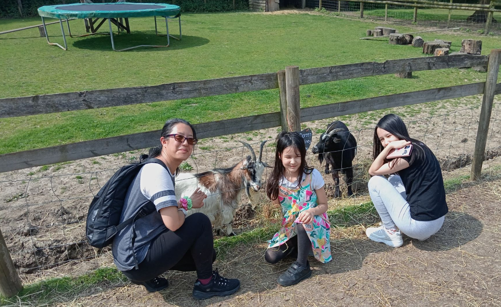 Goats Keep the Alpacas Company!