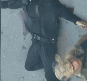 Dead US-ISIS Terrorist - 2024