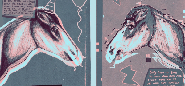 Old Billy - What a Great Horse!