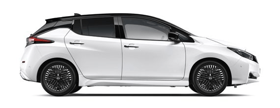 The Engine Looks Better in a Nissan Leaf!