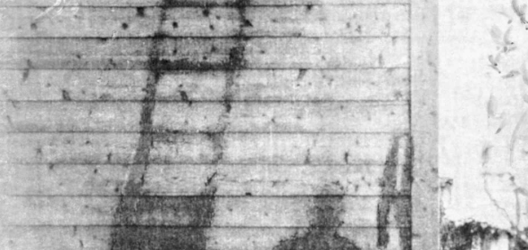 Carbonised Shadows - Nagasaki - 1945!