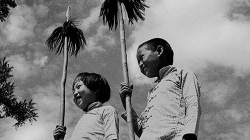 Greetings from Behind the Sandbags!