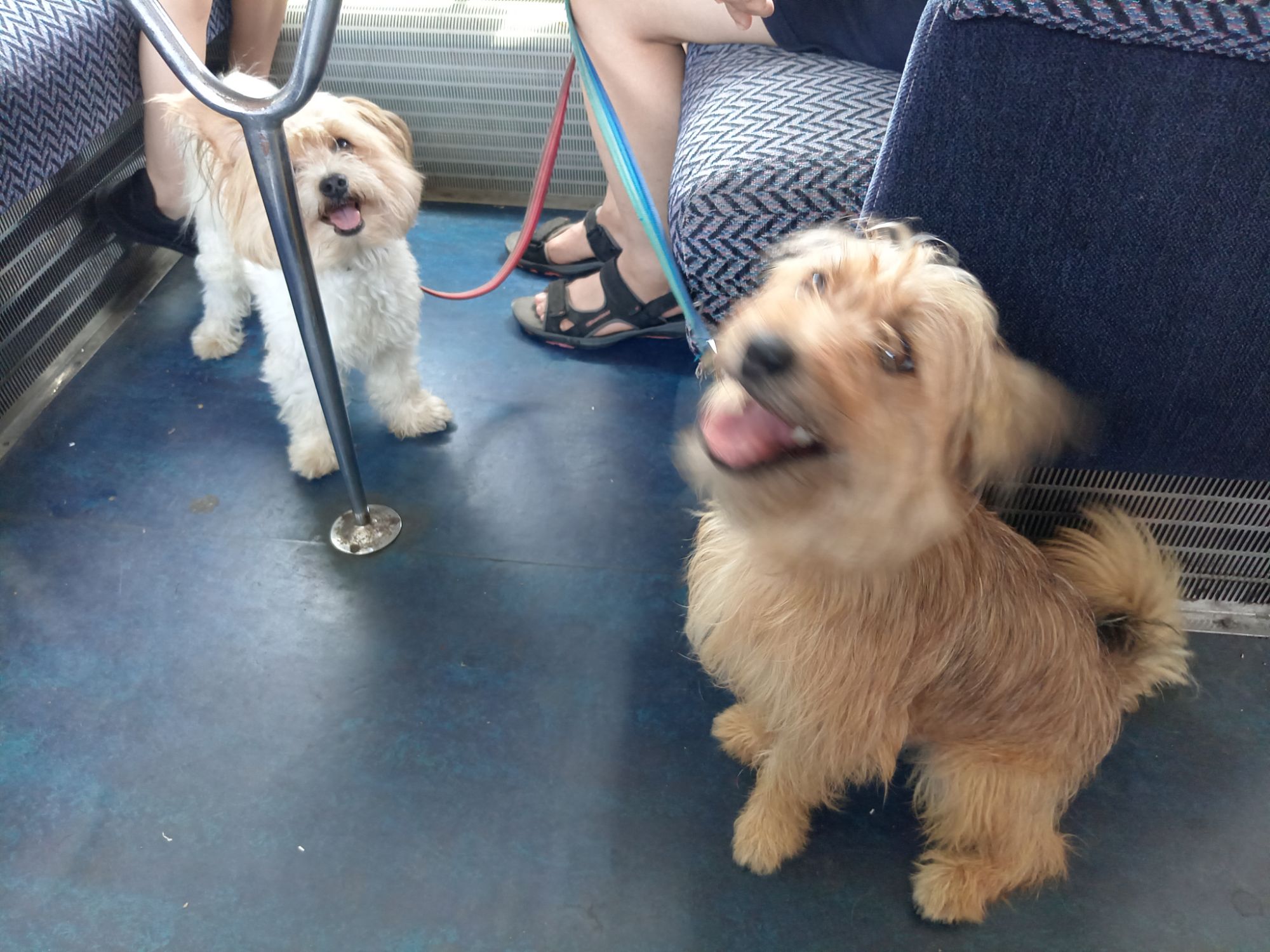 Time to Ride the Rails!