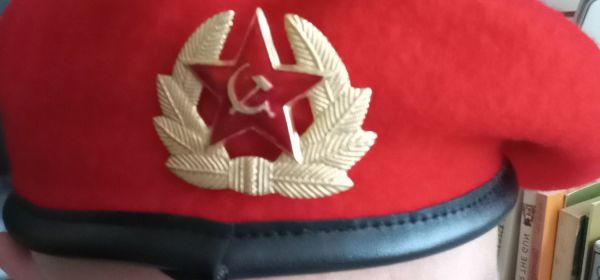 Red Brigade - Soviet Emblem!