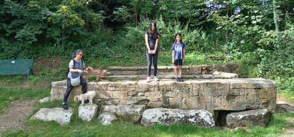 The Wells - Well Lane - 2024