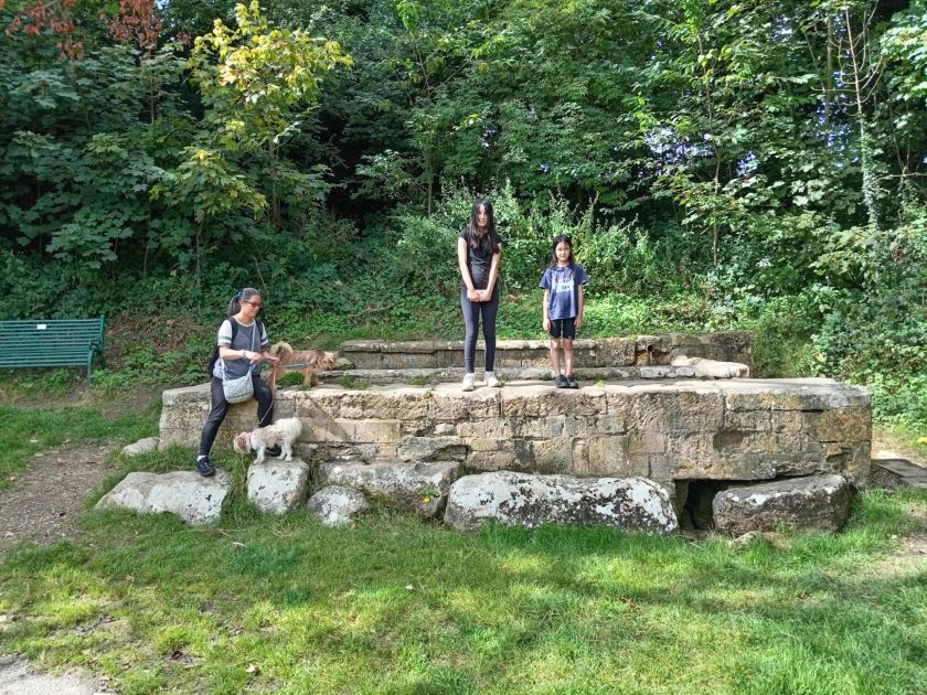 The Wells - Well Lane - 2024