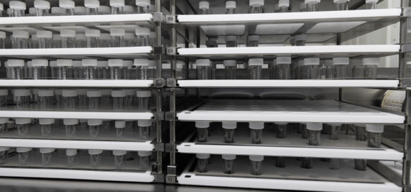 This photo shows lunar samples retrieved by the Chang'e-6 mission at the lunar sample laboratory in the National Astronomical Observatories of the Chinese Academy of Sciences (CAS) in Beijing, capital of China, Sept. 24, 2024. (Xinhua/Jin Liwang)