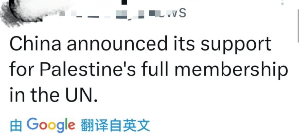 China Supports Palestine!