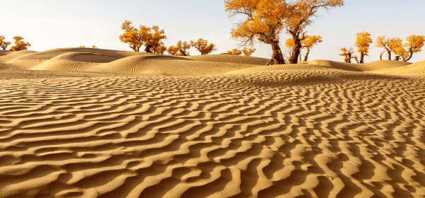 Taklimakan Desert Evolution