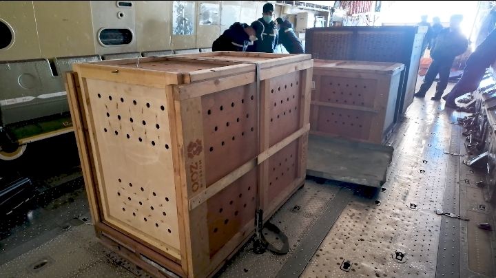 From Russiia With Love!