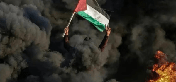 China Supports Palestine!