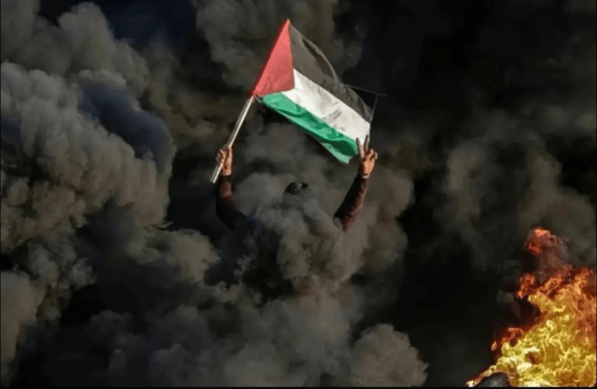 China Supports Palestine!